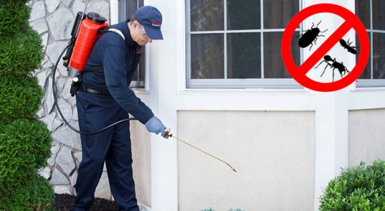Erdek Tahtakurusu İlaçlama böcek ilaçlama ve haşere kontrolü — ilaclama-tr.com